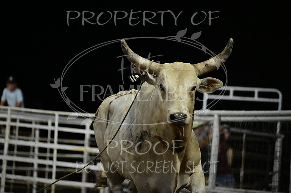 59th Annual Meeker Roundup Club Rodeo