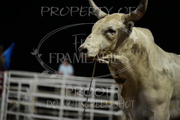 59th Annual Meeker Roundup Club Rodeo