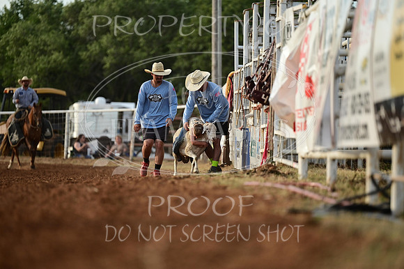 20240628-NJ-MeekerRoundupClub-Rodeo-0015