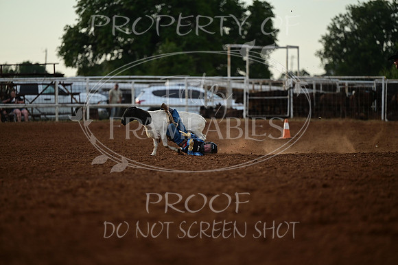 20240628-NJ-MeekerRoundupClub-Rodeo-0026