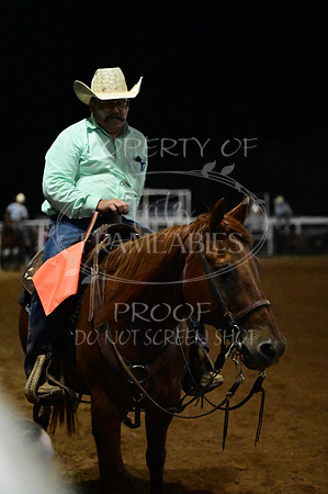 59th Annual Meeker Roundup Club Rodeo