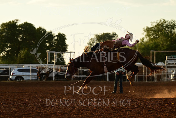 20240628-NJ-MeekerRoundupClub-Rodeo-0179