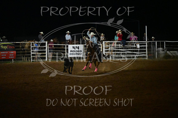 20240628-NJ-MeekerRoundupClub-Rodeo-1227