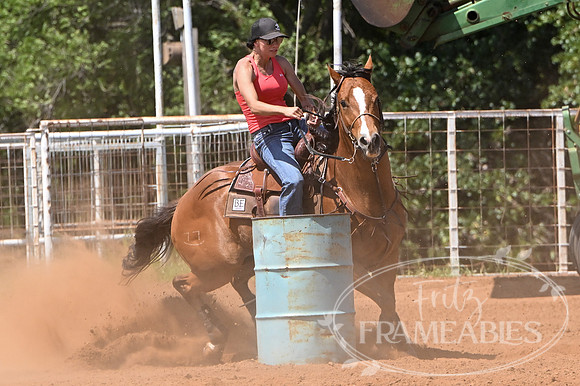 17 DEEANNE VAUGHN (12)