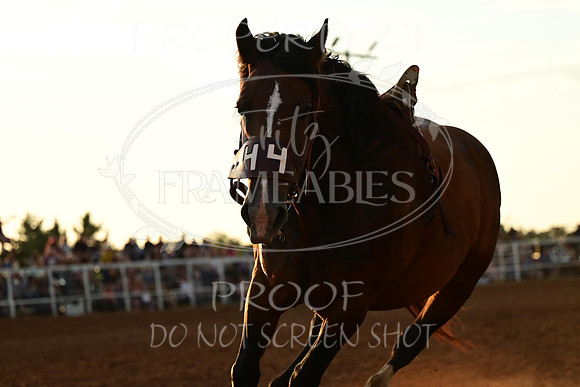 20240628-NJ-MeekerRoundupClub-Rodeo-0211