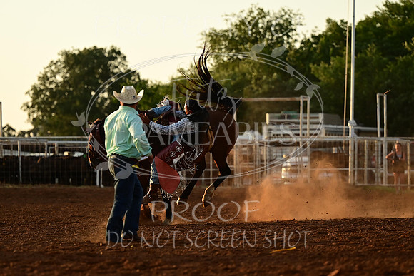20240628-NJ-MeekerRoundupClub-Rodeo-0201