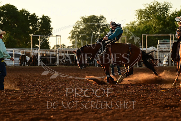 20240628-NJ-MeekerRoundupClub-Rodeo-0188