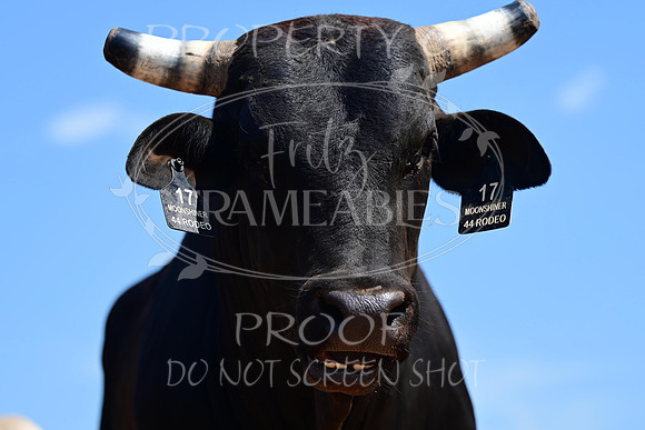 59th Annual Meeker Roundup Club Rodeo