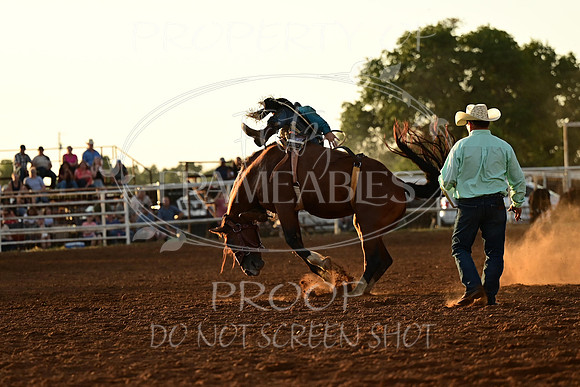 20240628-NJ-MeekerRoundupClub-Rodeo-0190