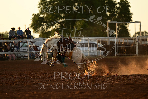 59th Annual Meeker Roundup Club Rodeo
