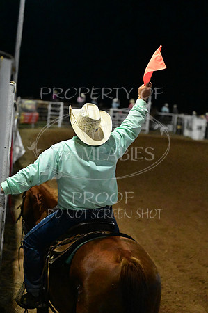 20240628-NJ-MeekerRoundupClub-Rodeo-1287