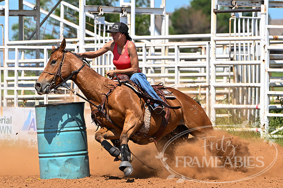 17 DEEANNE VAUGHN (9) - Copy
