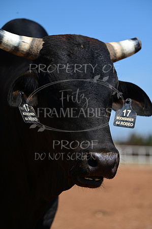 59th Annual Meeker Roundup Club Rodeo