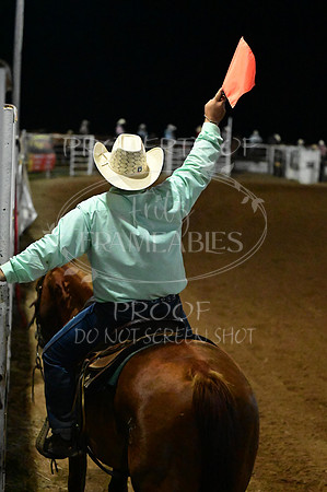 20240628-NJ-MeekerRoundupClub-Rodeo-1288