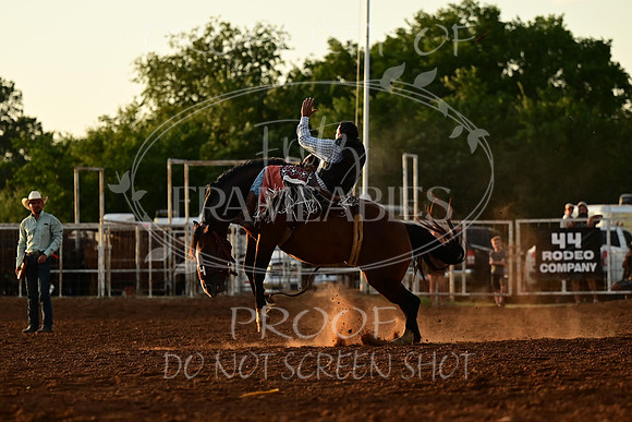 20240628-NJ-MeekerRoundupClub-Rodeo-0199