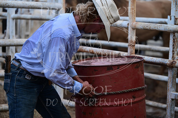 59th Annual Meeker Roundup Club Rodeo