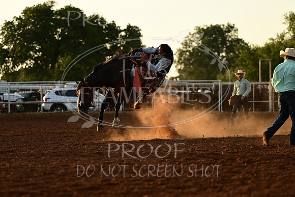20240628-NJ-MeekerRoundupClub-Rodeo-0203