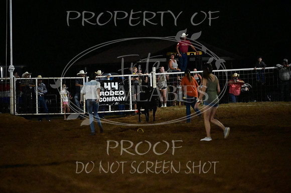 59th Annual Meeker Roundup Club Rodeo