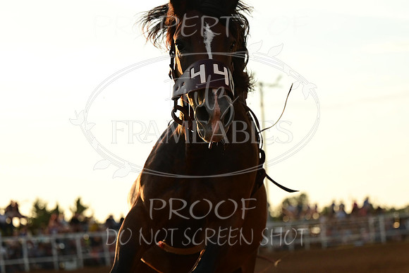 20240628-NJ-MeekerRoundupClub-Rodeo-0212