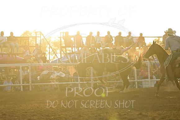 20240628-NJ-MeekerRoundupClub-Rodeo-0185