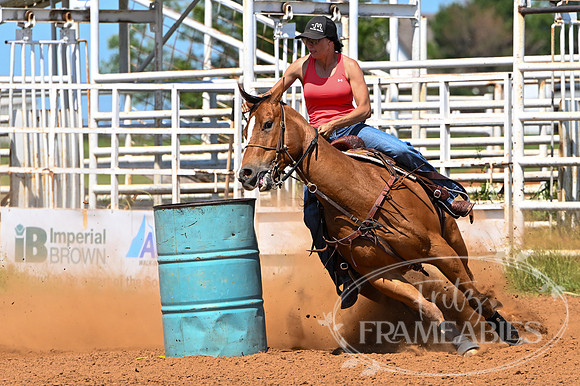 17 DEEANNE VAUGHN (7)