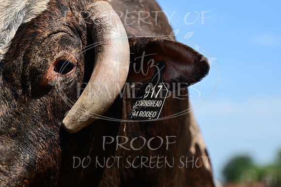 59th Annual Meeker Roundup Club Rodeo