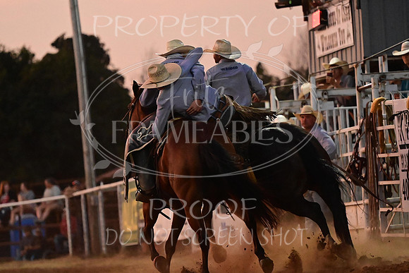 59th Annual Meeker Roundup Club Rodeo