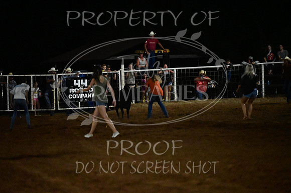 59th Annual Meeker Roundup Club Rodeo