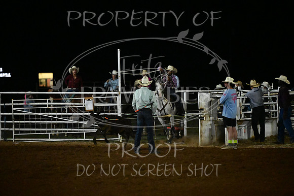 59th Annual Meeker Roundup Club Rodeo