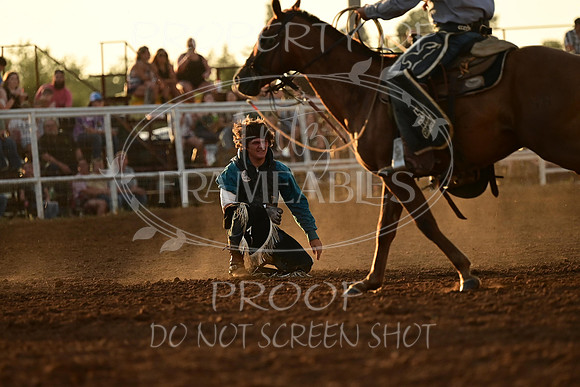 20240628-NJ-MeekerRoundupClub-Rodeo-0193