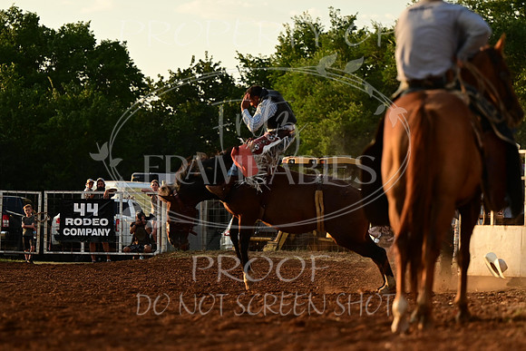20240628-NJ-MeekerRoundupClub-Rodeo-0195