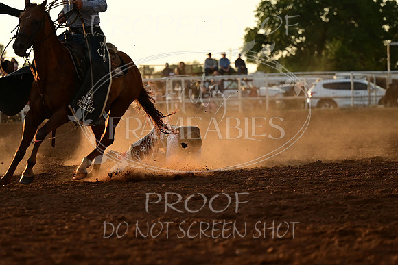 20240628-NJ-MeekerRoundupClub-Rodeo-0208