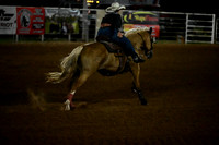 59th Annual Meeker Roundup Club Rodeo