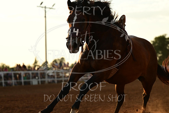 20240628-NJ-MeekerRoundupClub-Rodeo-0210