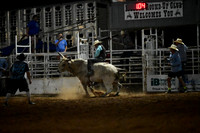 59th Annual Meeker Roundup Club Rodeo
