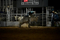 59th Annual Meeker Roundup Club Rodeo