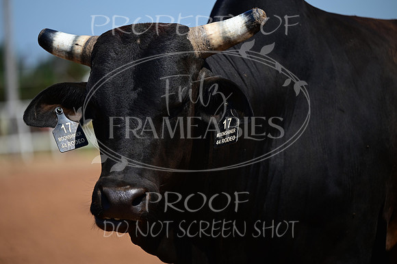 59th Annual Meeker Roundup Club Rodeo