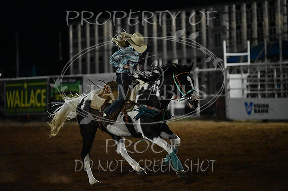 59th Annual Meeker Roundup Club Rodeo