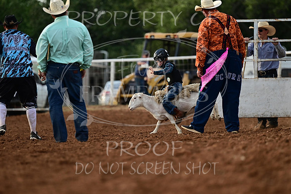 20240628-NJ-MeekerRoundupClub-Rodeo-0067