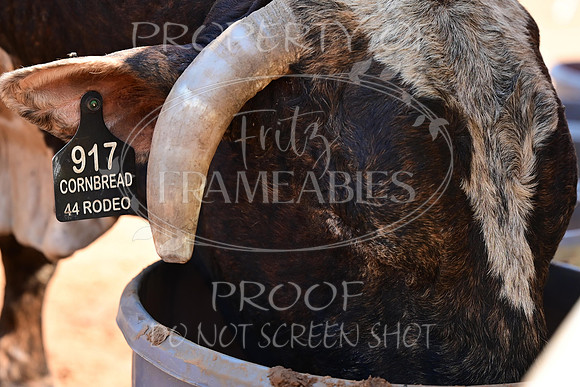 59th Annual Meeker Roundup Club Rodeo