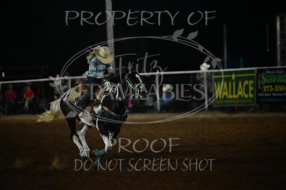 59th Annual Meeker Roundup Club Rodeo