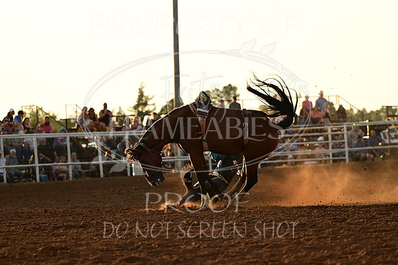 20240628-NJ-MeekerRoundupClub-Rodeo-0192