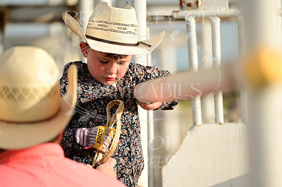 59th Annual Meeker Roundup Club Rodeo