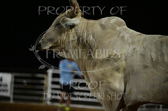 59th Annual Meeker Roundup Club Rodeo